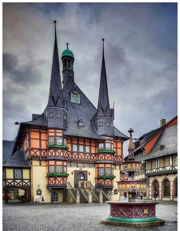 Appartement Zum Kuckuck Noch Mal Hohegeiss Bagian luar foto